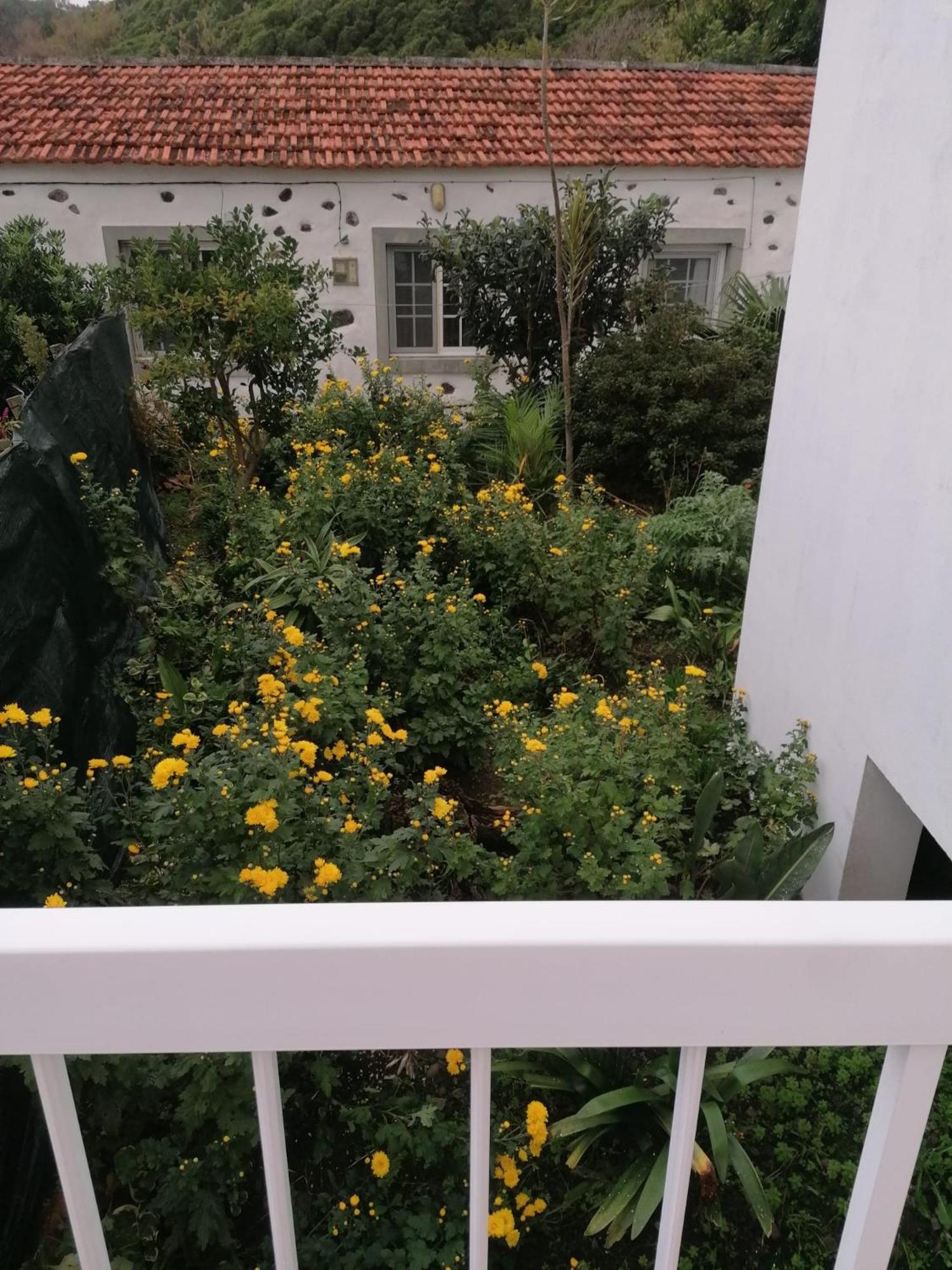 Casa Da Queijaria Villa Faja Grande Eksteriør billede