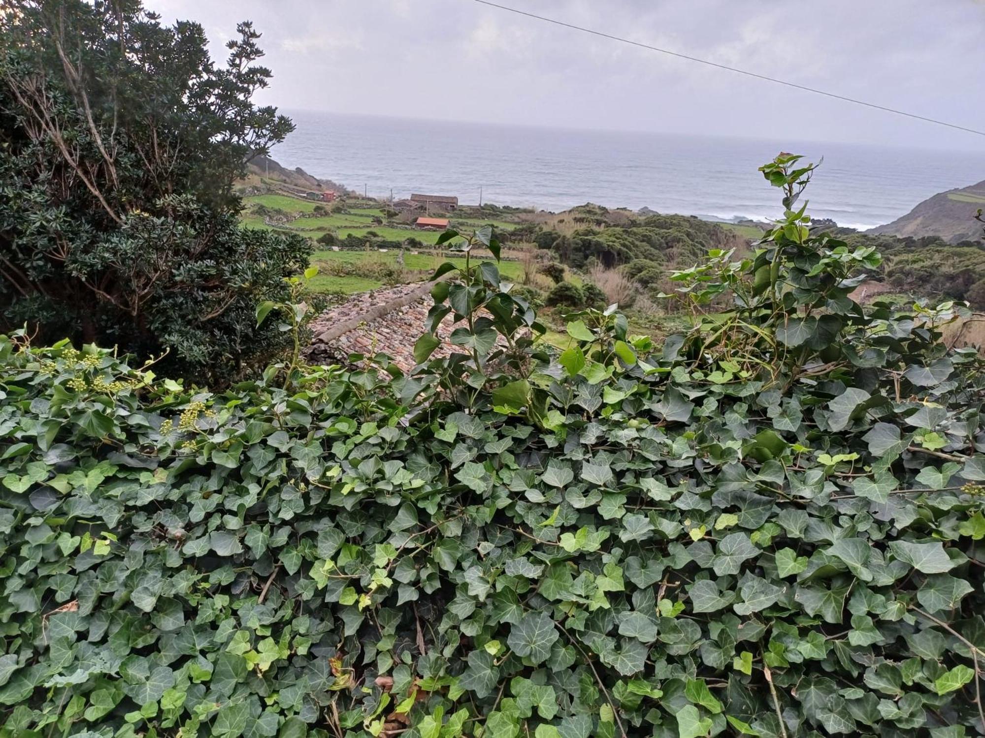 Casa Da Queijaria Villa Faja Grande Eksteriør billede